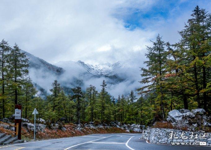 百度APP专业解答:新型冠状病毒在空气中可以存活多久?-专业问答交流平台
