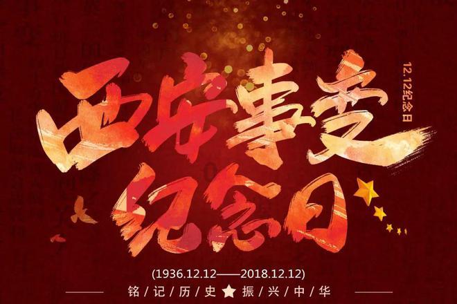 县域共青团基层组织改革丨青山区：团组织赋能，让青年当主角
